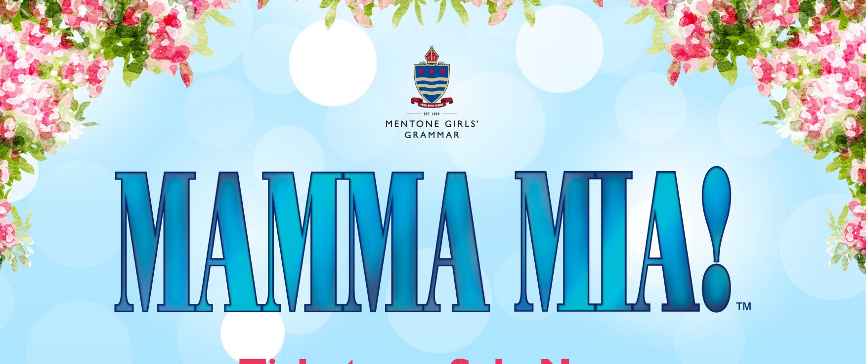 Mamma Mia Banner